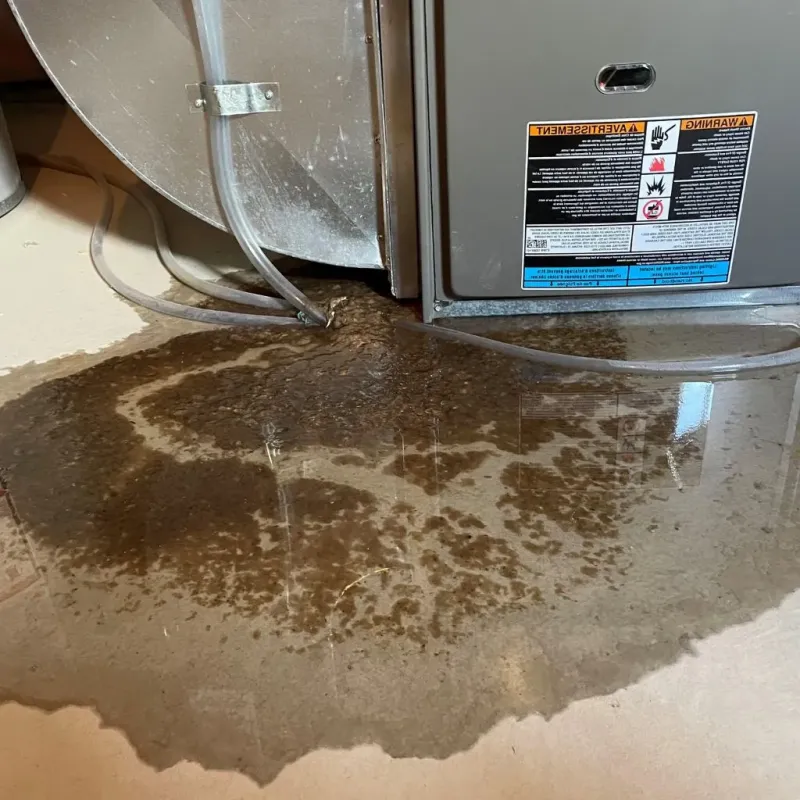 Pipe Burst and Leak Restoration in West Kennebunk, ME